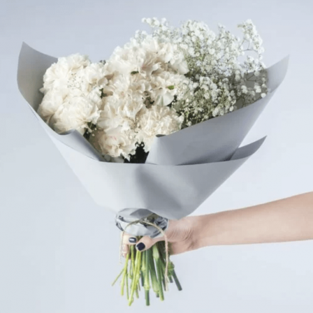 Milky Morning: 20 Carnations and Baby's Breath